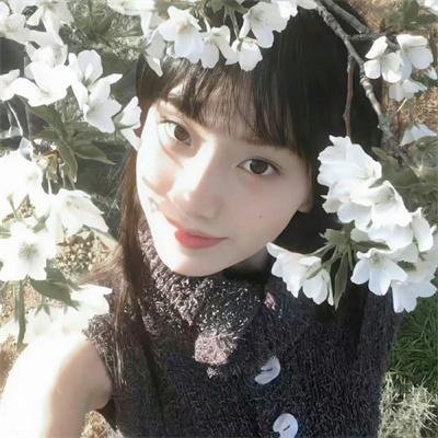 文明的轨迹